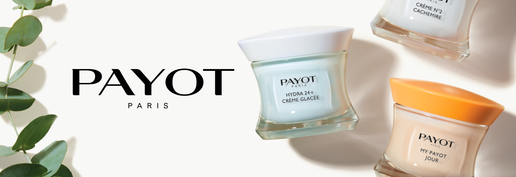 Payot